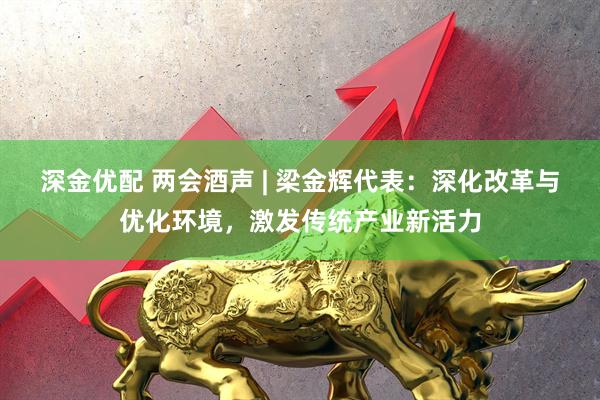 深金优配 两会酒声 | 梁金辉代表：深化改革与优化环境，激发传统产业新活力
