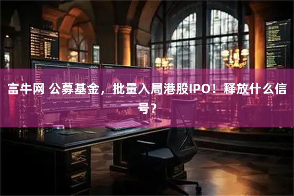 富牛网 公募基金，批量入局港股IPO！释放什么信号？