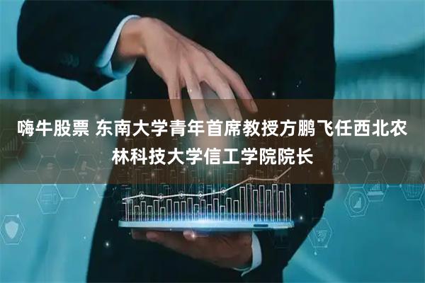 嗨牛股票 东南大学青年首席教授方鹏飞任西北农林科技大学信工学院院长