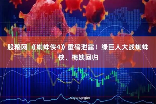 股粮网 《蜘蛛侠4》重磅泄露！绿巨人大战蜘蛛侠、梅姨回归